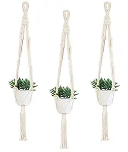 pepme Cotton Plant Hanger Rope, Ivory, 39 inch Long, Macrame (Pack of 3)