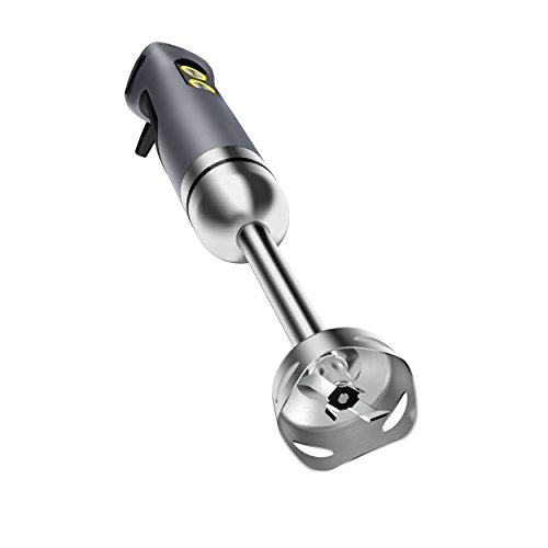 CARRERA 554 Stabmixer (800 Watt) | Edelstahl | 5 Stufen mit digitalem Drehregler & Display| Für Shakes, Suppen, Crushed Ice & Co. - 2