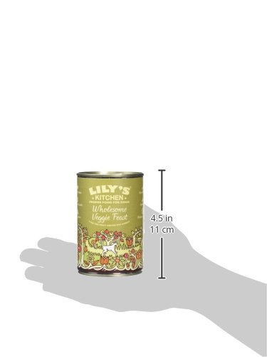 Lilys-Kitchen-Wholesome-Veggie-Feast-Wet-Food-for-Dogs-375-g-Pack-of-6