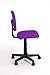 Coavas Fabric Ergonomically Executive Office Desk Chairs, Mesh High Back Children Chair(PURPLE)