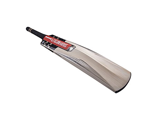 Preisvergleich Produktbild Gray-Nicolls Kronus 300 Cricket Bat (2018) - kurzer Griff, 900 g