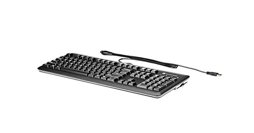 Preisvergleich Produktbild HP USB SmartCard CCID Keyboard (DE)