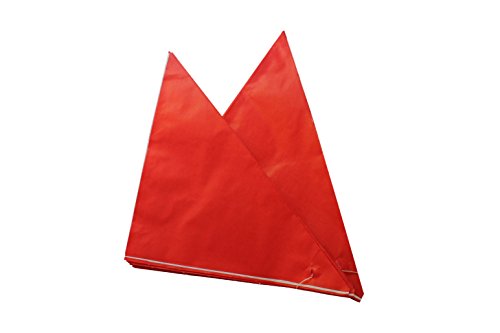 Spitztüten aus Papier Länge ca. 19 cm für ca. 125 g Inhalt in verschiedenen Farben (100 Stück, rot)