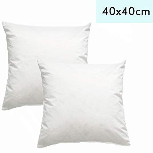 Luxusfeder 2er Set Kissen Daunenkissen 40x40 cm, 300 g Daunen, Kissenfüllung, Sofakissen, Innenkissen Daunen,weich, Inlett, Made in Germany