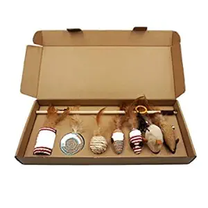 Dog Trust Cat Teaser Set for Cats Retractable Mice Cat Toys Rope Rattle Scratcher Mouse Teasers 7 Pieces Toy Set