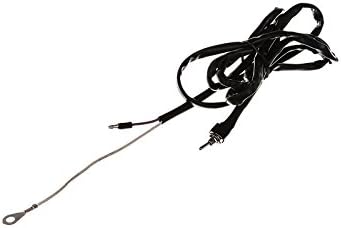 RZT Speed Limiter, Racing Ignition