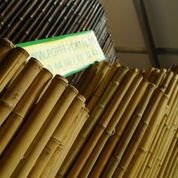 24/26mm 183x183cm goldgelb Bambusrollzaun Rollzaun Bamboo - 5