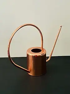 CasaGold: Long Spout Multipurpose Garden Water Can /Watering Can/ Gardening Tools / for Indoor & Outdoor (Golden - 2.5 L) (Rose Gold)