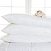 Cosy Nights Anti-Allergy Pillow, Cot/Cot Bed