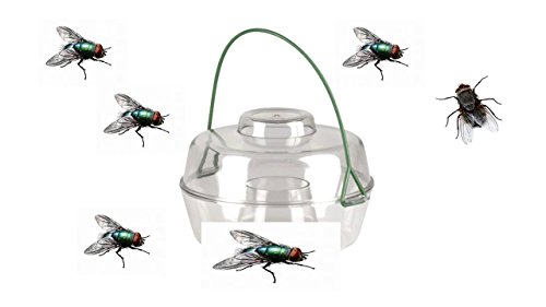 Fliegenfalle