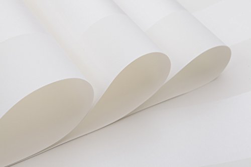 HANMERO Modern Beflockung Vliestapete Schön Fototapete Streifen geprägt Streifen für Schlafzimmer, Whonzimmer, Hotel 0,53*10m (5,3m2) Beigeweiß 68030 Farben ¡­ - 5