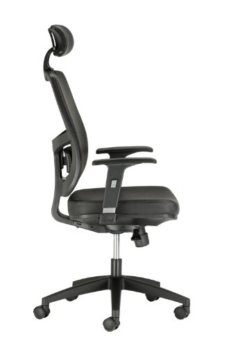 Chairs For Offices 134002BKL Leather Executive Reclining Office Chair Headrest Lumbar Support Black Free 3 day Delivery
