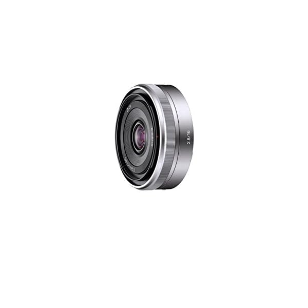 Sony SEL16F28 - Objetivo para Sony (Distancia Focal Fija 16mm, Apertura f/2.8-22, diámetro: 49mm) Plateado