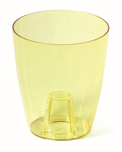 Maceta transparente calidad prémium ideal para orquídeas 2 tamaños 6 colores