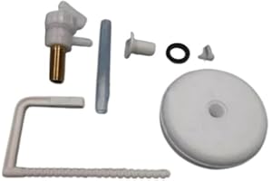 AstralPool CONJUNTO VALVULA Y BOYA marca