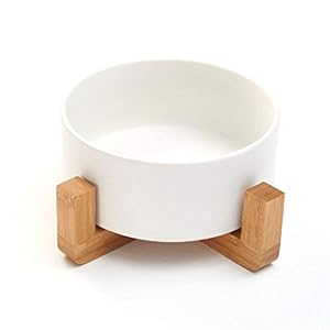 PiuPet® Bowl para Gatos y Perros – 850 ml – Feeding Bowl Cat – Feeding Bowl Dog – Dog Bowl Big Dogs (Gris)