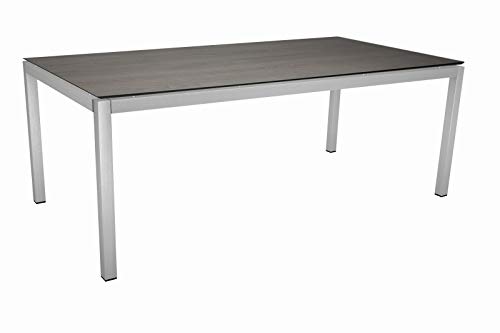 Preisvergleich Produktbild STERN Esstisch, Silber / Eiche grau, Edelstahl / Silverstar, 200x100cm