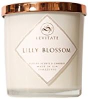 Levitate LVZ2003-RG Candle