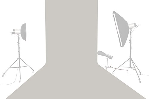 Preisvergleich Produktbild Tetenal (Savage) Hintergrund 2,72x11m TV Gray