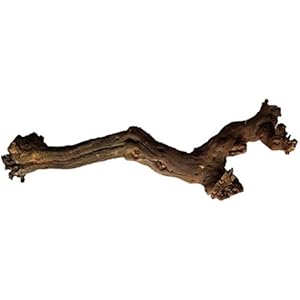 Rebwurzel sandgestrahlt (50-60 cm)