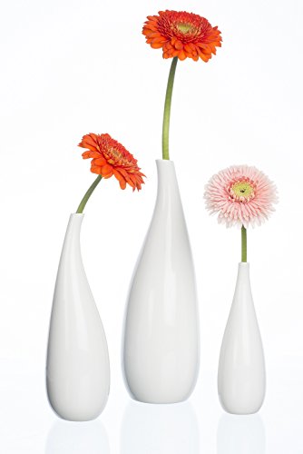 SANDRA RICH, Porzellan- VASE „CURVED“ 25 cm. Für Einzelblumen. (Nur für Trockendeko) - 3