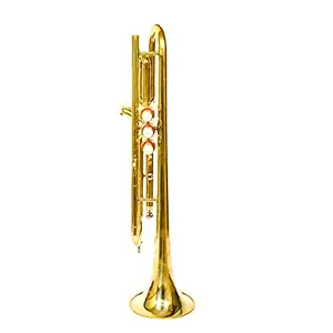 Skylark Musicals Special Shinning Brass Polish for Marching Concert Band Trumpet with Hard Case and 7c Mouth Piece