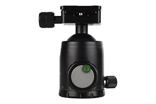 Genesis Base BH-46 Kugelkopf mit Schnellwechselplatte (Tragkraft 30kg, Hhe 112mm, Arca Swiss, Friktionsschraube)