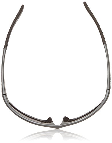 Alpina Sonnenbrille WYLDER - 4
