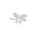 Ventilador de techo modelo Delfin
