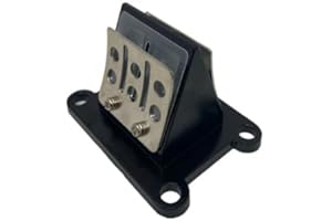 ASSA MOTORCYCLE ACCESSORIES ASSA - Boîte À Clapets pour Moteur Compatible avec Derbi Euro 3/4 - Lamelle en Fibre - Compatible avec Derbi Gilera Aprilia Bultaco Cagiva