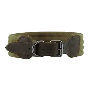 Dog Collar Heavy Duty Webbing Adjustable Buckle Collars for Medium Large Dogs Green