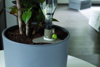 AQUAFLORA HOLIDAY Premium - 2