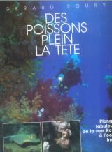 Poissons plein la tête : plongées de la mer rouge à l'océan Indien