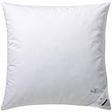 Billerbeck Betten union 5453900009 - Almohada estándar, color blanco