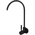 Aquieen SS 304 Kitchen Wall Mounted RO Water Tap with Wall Flange (Cold Water Provision) (Black)