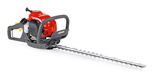 Preisvergleich Produktbild Honda Benzin-Heckenschere HHH 25 D-60