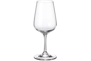 LUDI VIN Coffret de 6 verres à pied Apus 25cl