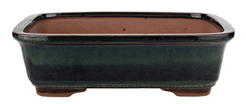 Bonsaischale Rechteckig mit abgerundeten Ecken Grün Glasiert (L 24,8cm x B 21,5cm x H 7cm)
