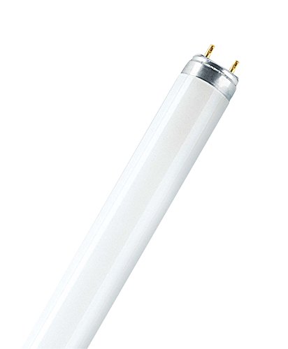 Leuchtstofflampe L 15 Watt 865 Tageslicht – Osram - 2