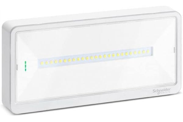 Schneider Electric Exiway Light 110 IP65 - Lampe d'urgence LED autonome - Blanc - Moderne - 112 x 229 x 112 mm - Indoor