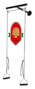 Narayani Traders T-pulley Shoulder Pulley Black Physiotherapy Equipment