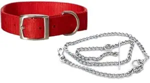 Body Building 1 inch Red Dog Collar with Dog Chain 1.5m lengthy Dog Collar & Chain Dog Belt for All Pet Dogs.