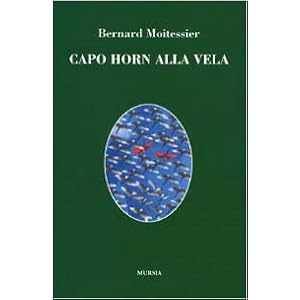 Capo Horn alla vela. 14000 miglia senza scalo