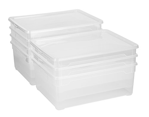 Rotho 6672600096WS 7-er Set Clear Box Man Shoe 10 l mit Deckel AppMyBox - 3