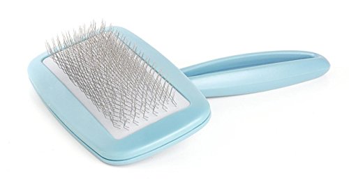 transgroom Color Cepillo Cardatore eléctrico profesional