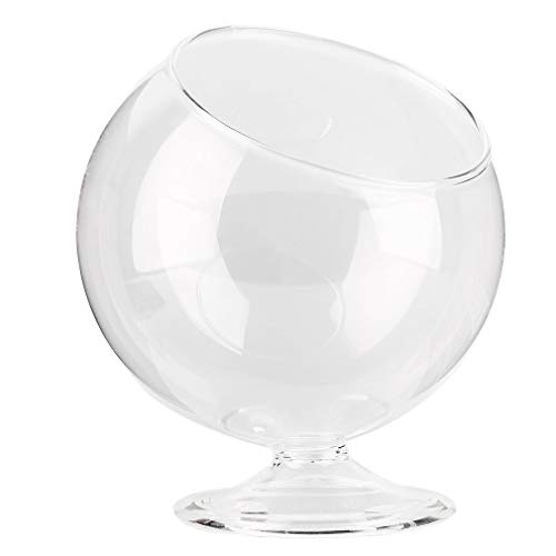 Preisvergleich Produktbild DERNON Einzigartige Wohnkultur Wasserkultur Aquarium Fisch Glas Vase Tank Pflanze Container