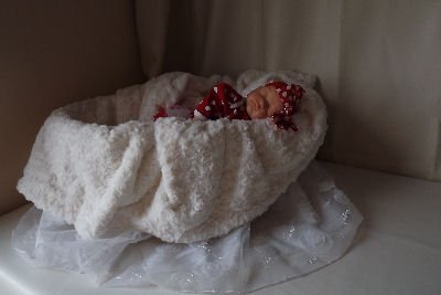 AMANITA Childs 1st Reborn Baby Doll Girls Ladys Birthday Xmas Gift UK Seller Made By SAXON REBORNS