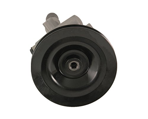 Preisvergleich Produktbild Servopumpe