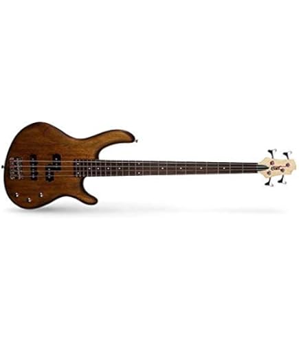 Ibanez SR500 - BM, 4 Strings Electric Bass Guitars, Right Handed