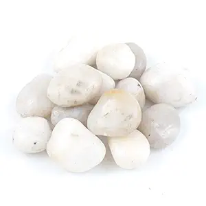 Shiny Stone Natural Decorative Polished Pebble Stones River Stones Rocks Gravel for Fairy Garden Aquarium Decoration 1 3/8'' 2.2lbs/35.27oz (White)